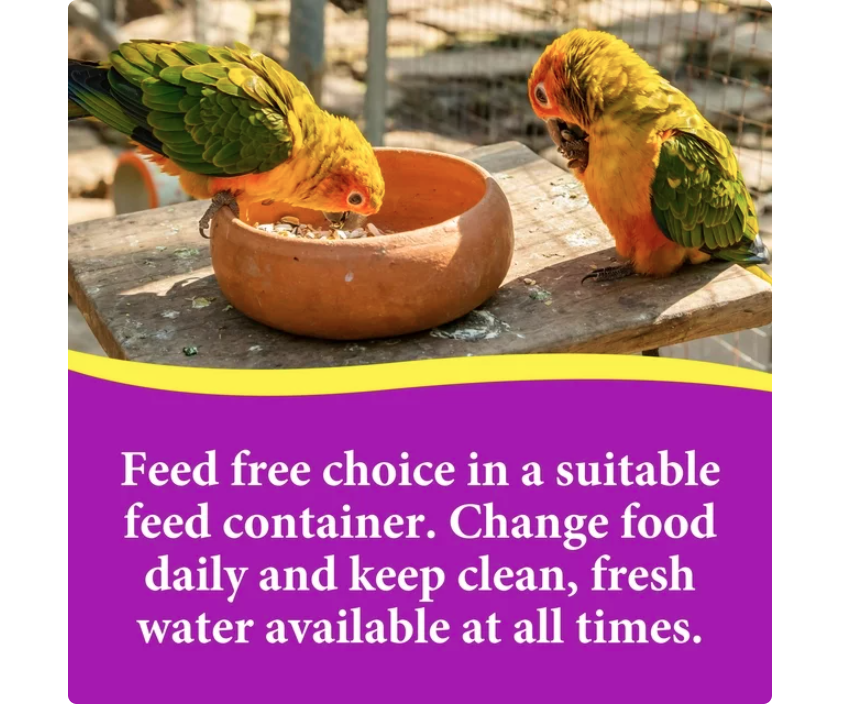 3-D Pet Products Premium Cockatiel Mix Bird Food Seeds, with Probiotics, 9 lb. Bag - Amado Deals - wholesale and distributors with free shipping in United States 3-D Pet Products Premium Cockatiel Mix Bird Food Seeds, with Probiotics, 9 lb. Bag - Amado Deals - wholesale and distributors with free shipping in United States